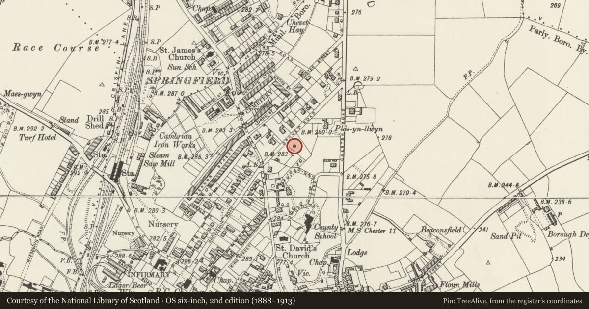 Ordnance Survey six-inch map, 2nd edition (1888–1913) covering the location of Romano, Rhosddu, Wrexham, with a pin at the register's coordinates