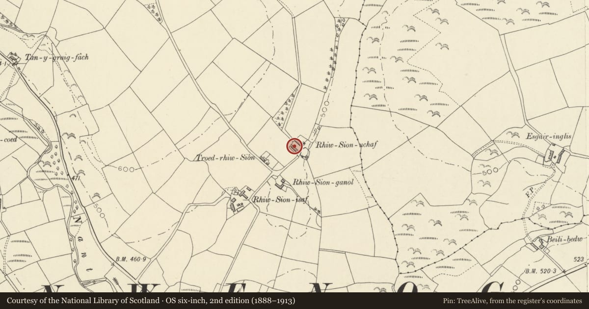 Ordnance Survey six-inch map, 2nd edition (1888–1913) covering the location of Rhiwson Uchaf house-and-byre, Llanwenog, Ceredigion, with a pin at the register's coordinates