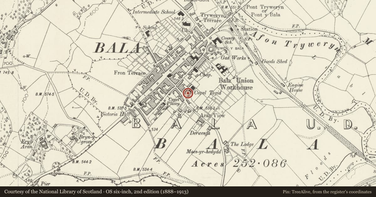 Ordnance Survey six-inch map, 2nd edition (1888–1913) covering the location of Statue of Rev Thomas Charles (including its railings), in front of Capel Tegid, Bala, Gwynedd, with a pin at the register's coordinates