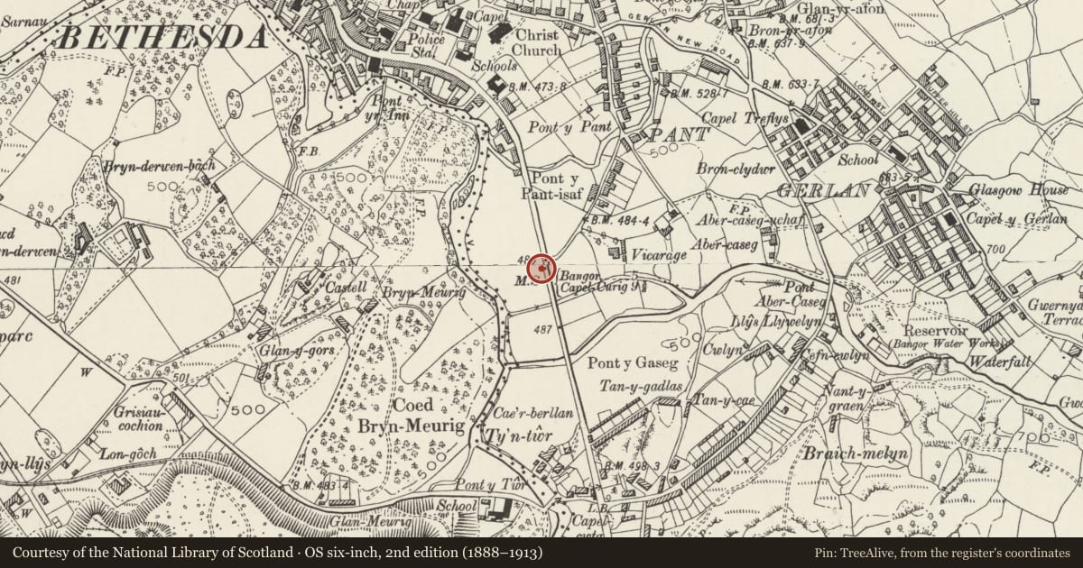 Ordnance Survey six-inch map, 2nd edition (1888–1913) covering the location of Telford Milestone (30) by Bethesda Football Club, Gwynedd, with a pin at the register's coordinates