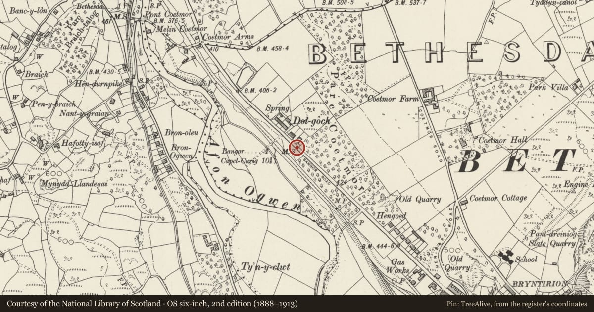 Ordnance Survey six-inch map, 2nd edition (1888–1913) covering the location of Telford Milestone (29), south of Dolgoch, Bethesda, Gwynedd, with a pin at the register's coordinates
