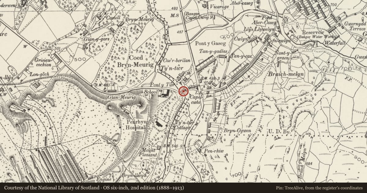 Ordnance Survey six-inch map, 2nd edition (1888–1913) covering the location of Pont Twr, Bethesda, Gwynedd, with a pin at the register's coordinates