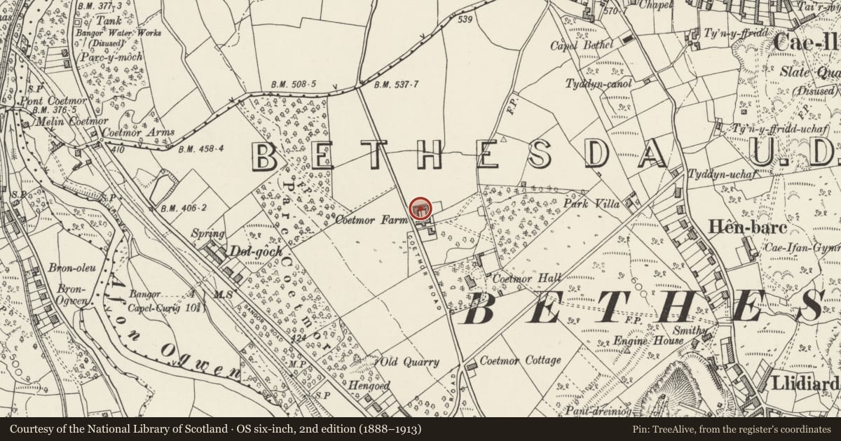 Ordnance Survey six-inch map, 2nd edition (1888–1913) covering the location of Outbuildings in farm-court at Coetmor Farm, Bethesda, Gwynedd, with a pin at the register's coordinates