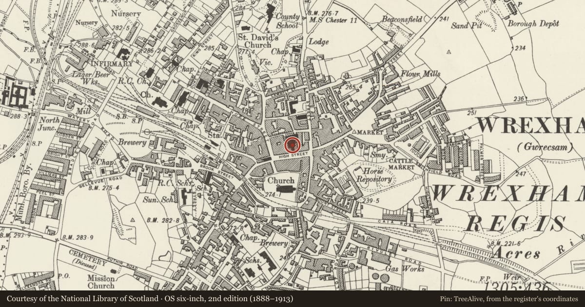 Ordnance Survey six-inch map, 2nd edition (1888–1913) covering the location of Butcher's Market, Rhosddu, Wrexham, with a pin at the register's coordinates