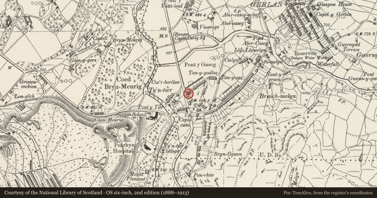 Ordnance Survey six-inch map, 2nd edition (1888–1913) covering the location of Cae'rberllan, Bethesda, Gwynedd, with a pin at the register's coordinates