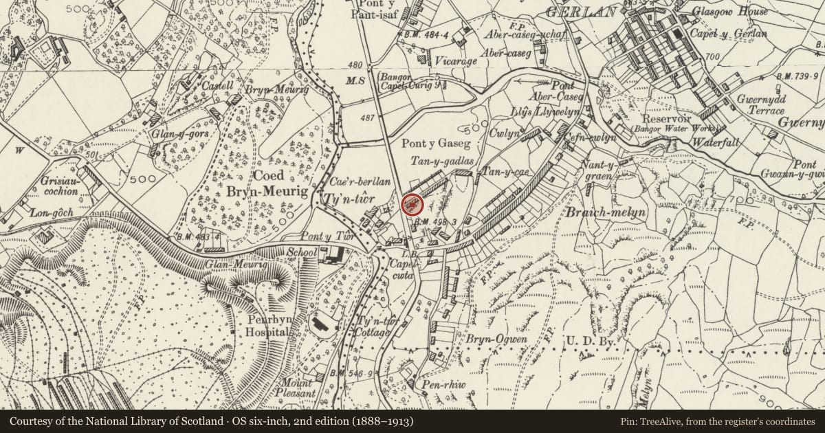 Ordnance Survey six-inch map, 2nd edition (1888–1913) covering the location of Cae'rberllan, Bethesda, Gwynedd, with a pin at the register's coordinates