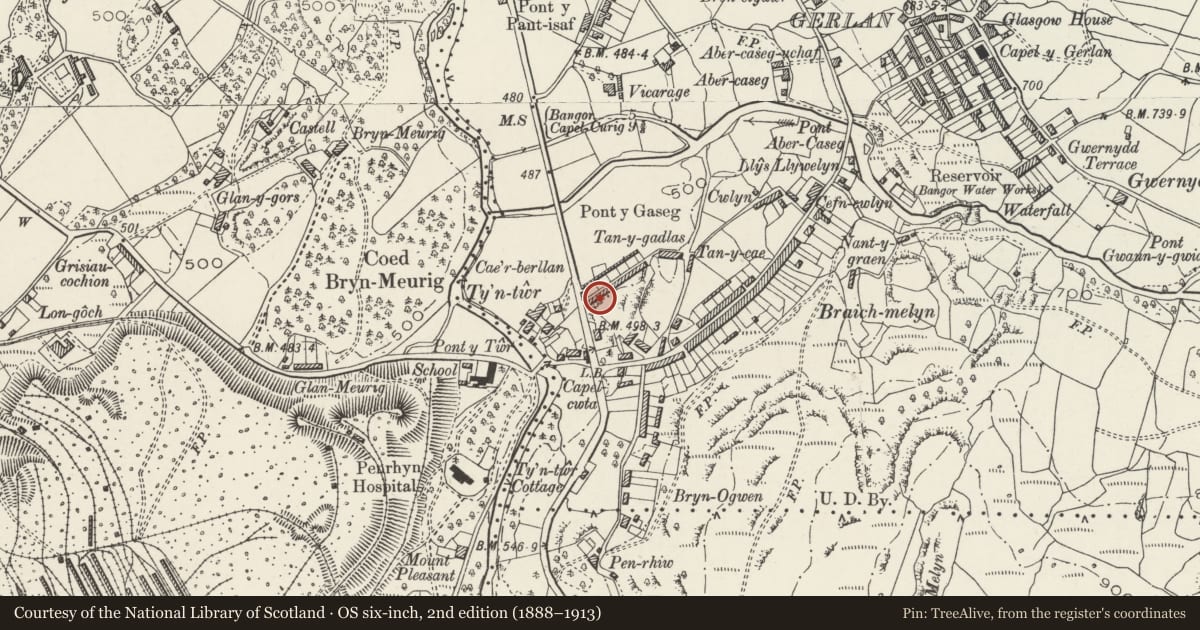Ordnance Survey six-inch map, 2nd edition (1888–1913) covering the location of Cae'rberllan, Bethesda, Gwynedd, with a pin at the register's coordinates