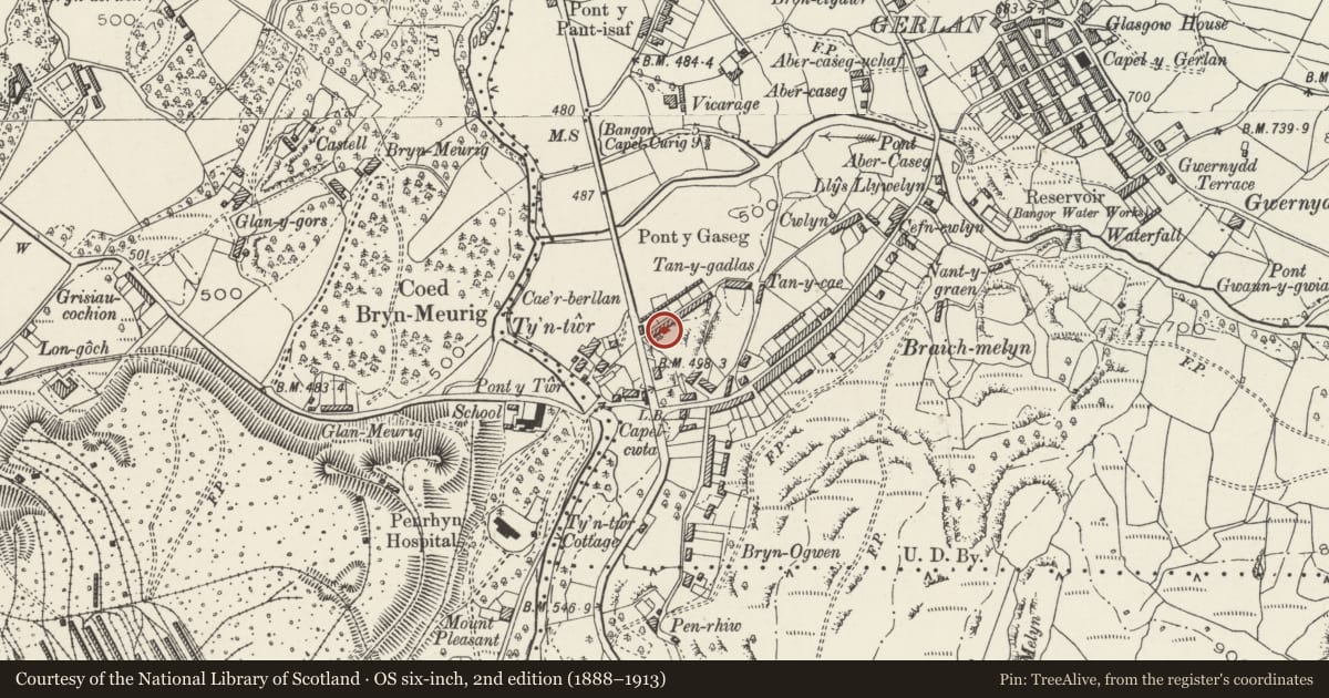 Ordnance Survey six-inch map, 2nd edition (1888–1913) covering the location of Cae'rberllan, Bethesda, Gwynedd, with a pin at the register's coordinates