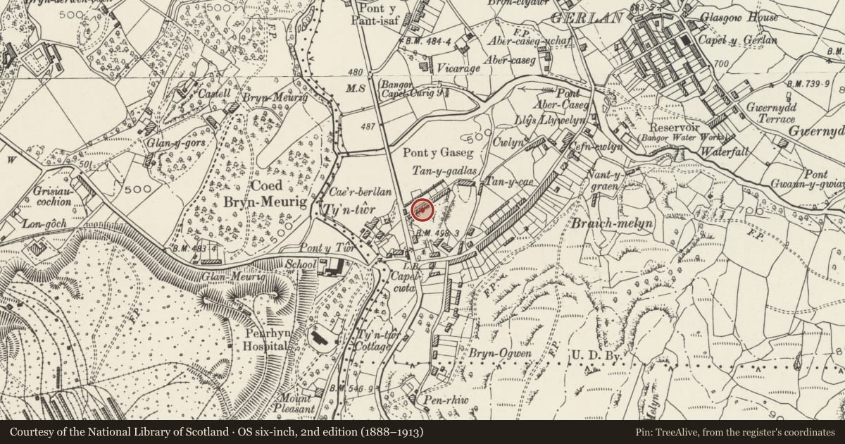 Ordnance Survey six-inch map, 2nd edition (1888–1913) covering the location of Cae'rberllan, Bethesda, Gwynedd, with a pin at the register's coordinates