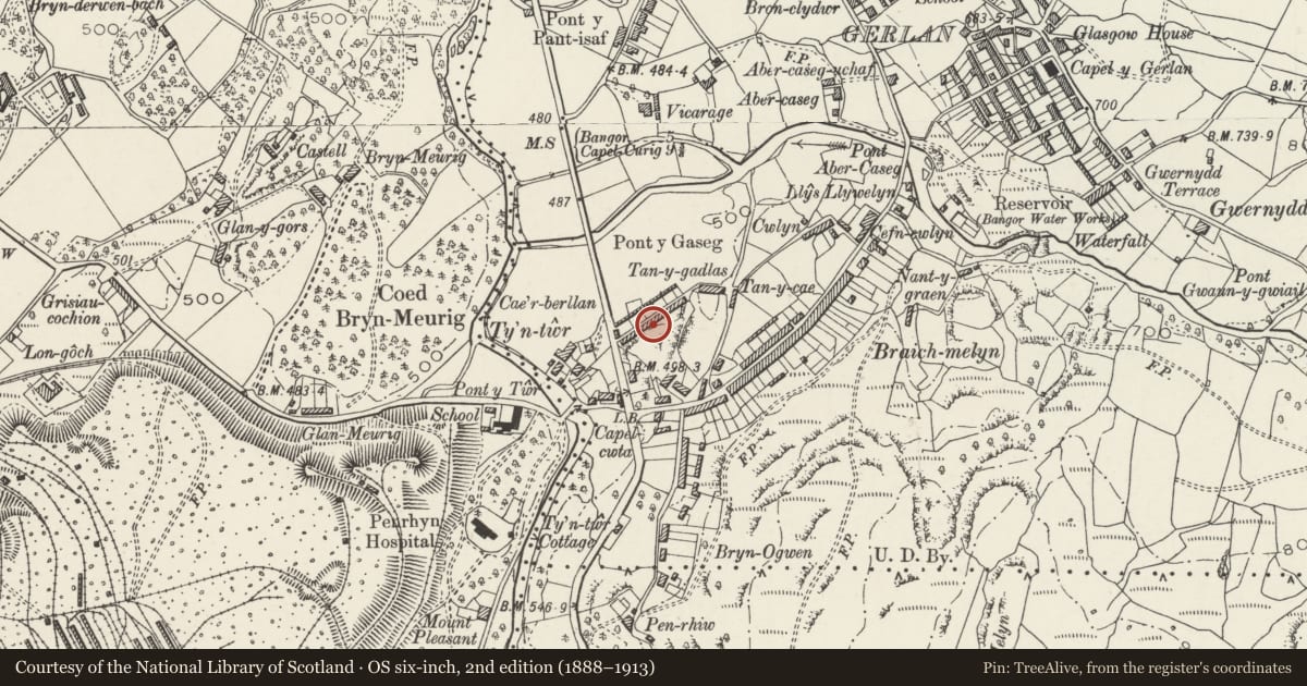 Ordnance Survey six-inch map, 2nd edition (1888–1913) covering the location of Cae'rberllan, Bethesda, Gwynedd, with a pin at the register's coordinates