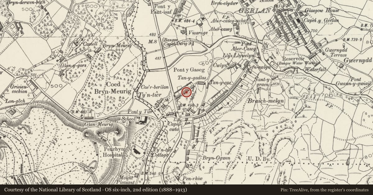 Ordnance Survey six-inch map, 2nd edition (1888–1913) covering the location of Cae'rberllan, Bethesda, Gwynedd, with a pin at the register's coordinates