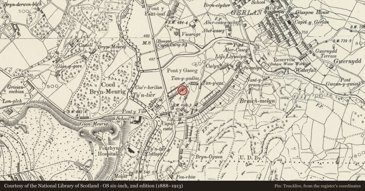 Ordnance Survey six-inch map, 2nd edition (1888–1913) covering the location of Cae'rberllan, Bethesda, Gwynedd, with a pin at the register's coordinates