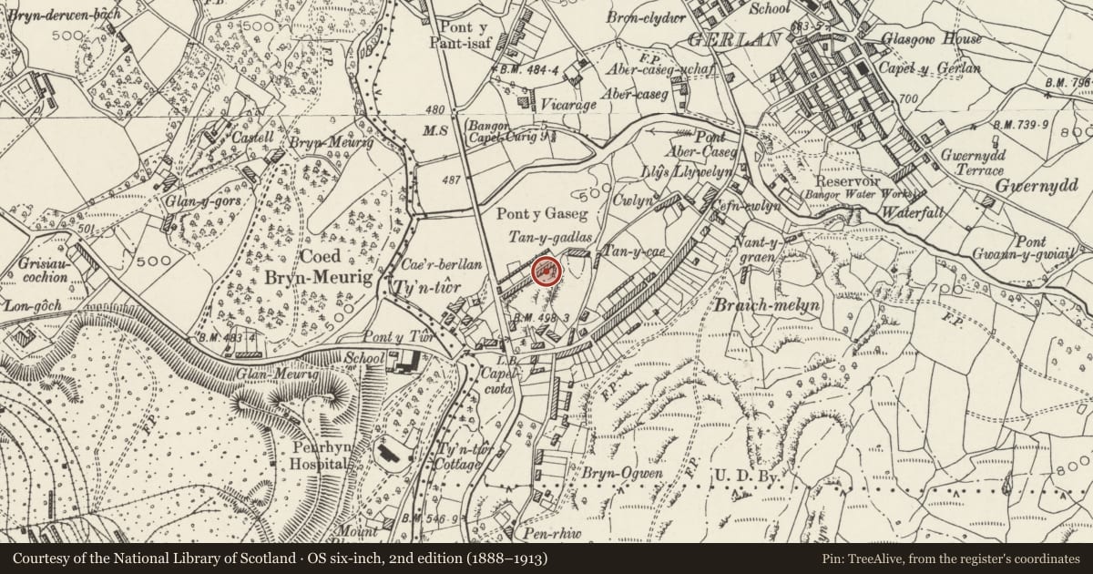 Ordnance Survey six-inch map, 2nd edition (1888–1913) covering the location of Cae'rberllan, Bethesda, Gwynedd, with a pin at the register's coordinates