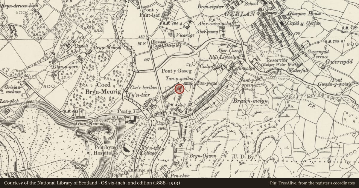 Ordnance Survey six-inch map, 2nd edition (1888–1913) covering the location of Cae'rberllan, Bethesda, Gwynedd, with a pin at the register's coordinates