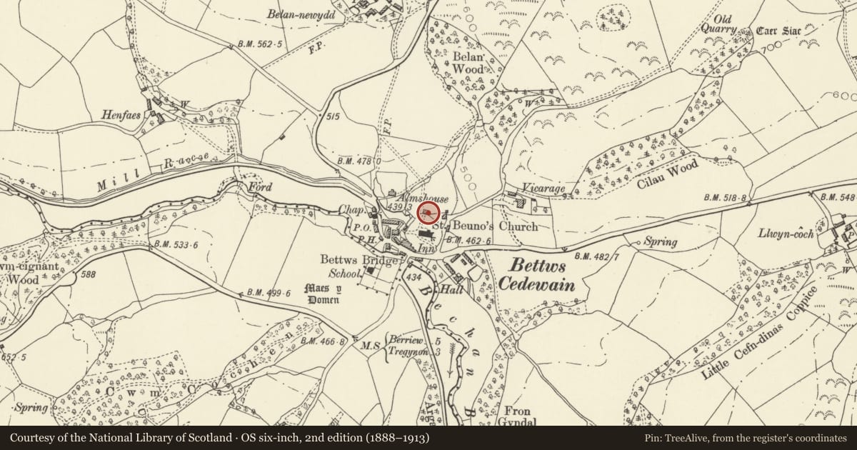 Ordnance Survey six-inch map, 2nd edition (1888–1913) covering the location of The Old School, Bettws, Powys, with a pin at the register's coordinates