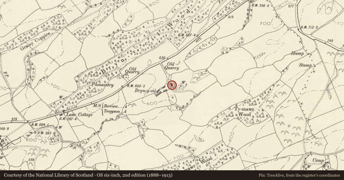 Ordnance Survey six-inch map, 2nd edition (1888–1913) covering the location of Brynycil Farmhouse, Bettws, Powys, with a pin at the register's coordinates