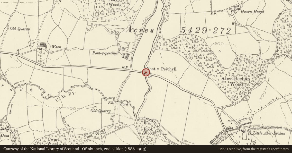 Ordnance Survey six-inch map, 2nd edition (1888–1913) covering the location of Pont y Perchyll, Bettws, Powys, with a pin at the register's coordinates