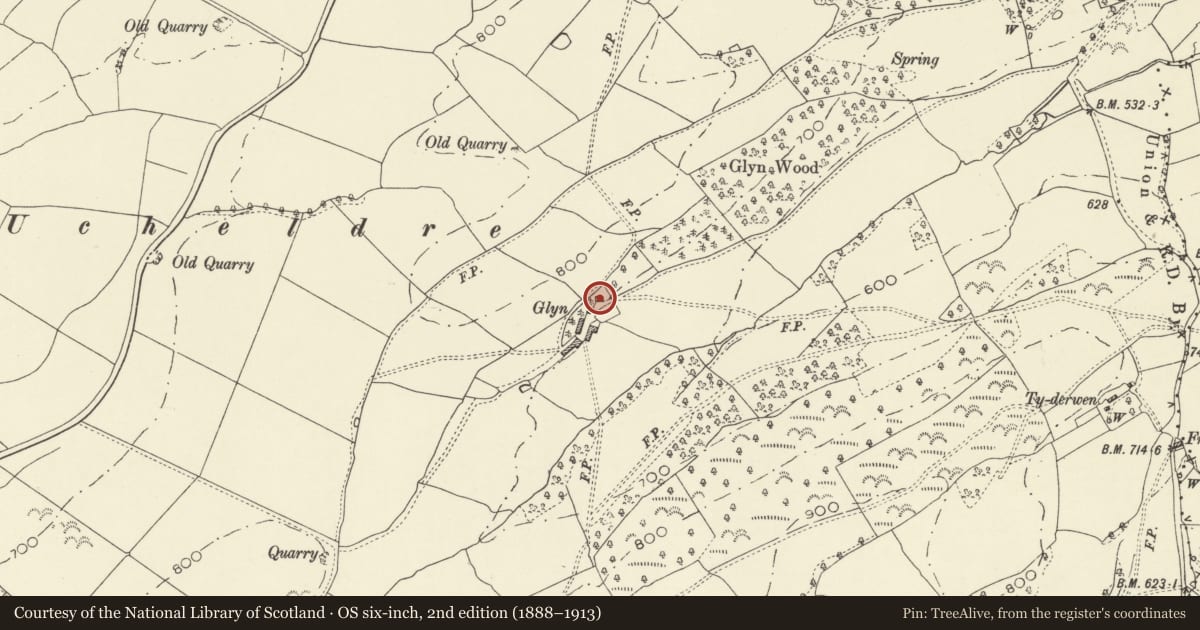 Ordnance Survey six-inch map, 2nd edition (1888–1913) covering the location of The Old Glyn, Bettws, Powys, with a pin at the register's coordinates