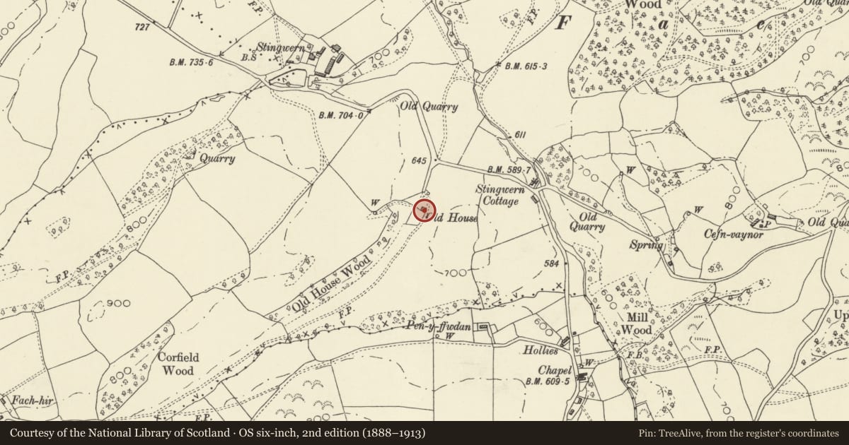 Ordnance Survey six-inch map, 2nd edition (1888–1913) covering the location of Stingwern Cottage, Bettws, Powys, with a pin at the register's coordinates
