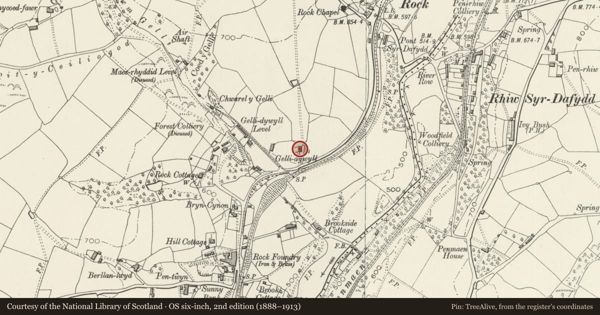 Ordnance Survey six-inch map, 2nd edition (1888–1913) covering the location of T-plan agricultural range at Gelli-Dywyll Farm (also known as Cwmgelli Farm), Blackwood, Caerphilly, with a pin at the register's coordinates