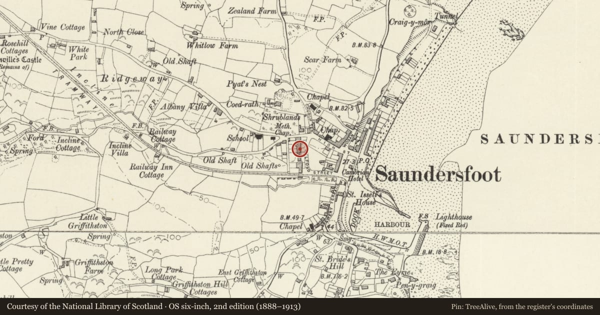 Ordnance Survey six-inch map, 2nd edition (1888–1913) covering the location of Tryweryn Cottage, No. 6 Milford Terrace, Saundersfoot, Pembrokeshire, with a pin at the register's coordinates