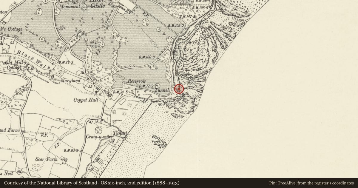 Ordnance Survey six-inch map, 2nd edition (1888–1913) covering the location of Saundersfoot Railway Tunnel (North ), Pembrokeshire, with a pin at the register's coordinates
