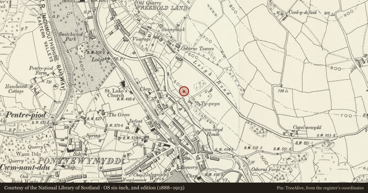 Ordnance Survey six-inch map, 2nd edition (1888–1913) covering the location of Beast shelter at Ty-gwyn, Trevethin, Torfaen, with a pin at the register's coordinates