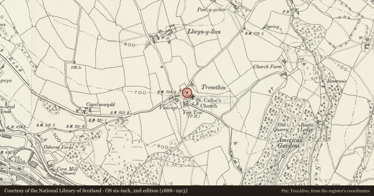Ordnance Survey six-inch map, 2nd edition (1888–1913) covering the location of Tomb of William Maud in St. Cadoc's Churchyard, Trevethin, Torfaen, with a pin at the register's coordinates