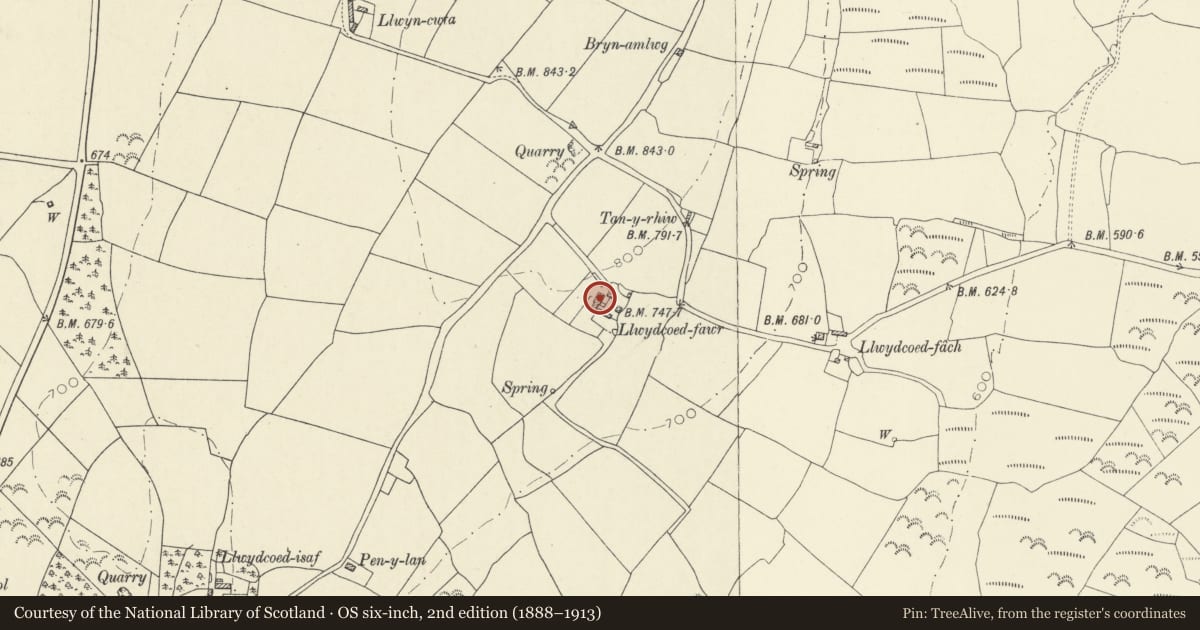 Ordnance Survey six-inch map, 2nd edition (1888–1913) covering the location of Llwyd Coed Fawr Farmhouse, Llannon, Carmarthenshire, with a pin at the register's coordinates