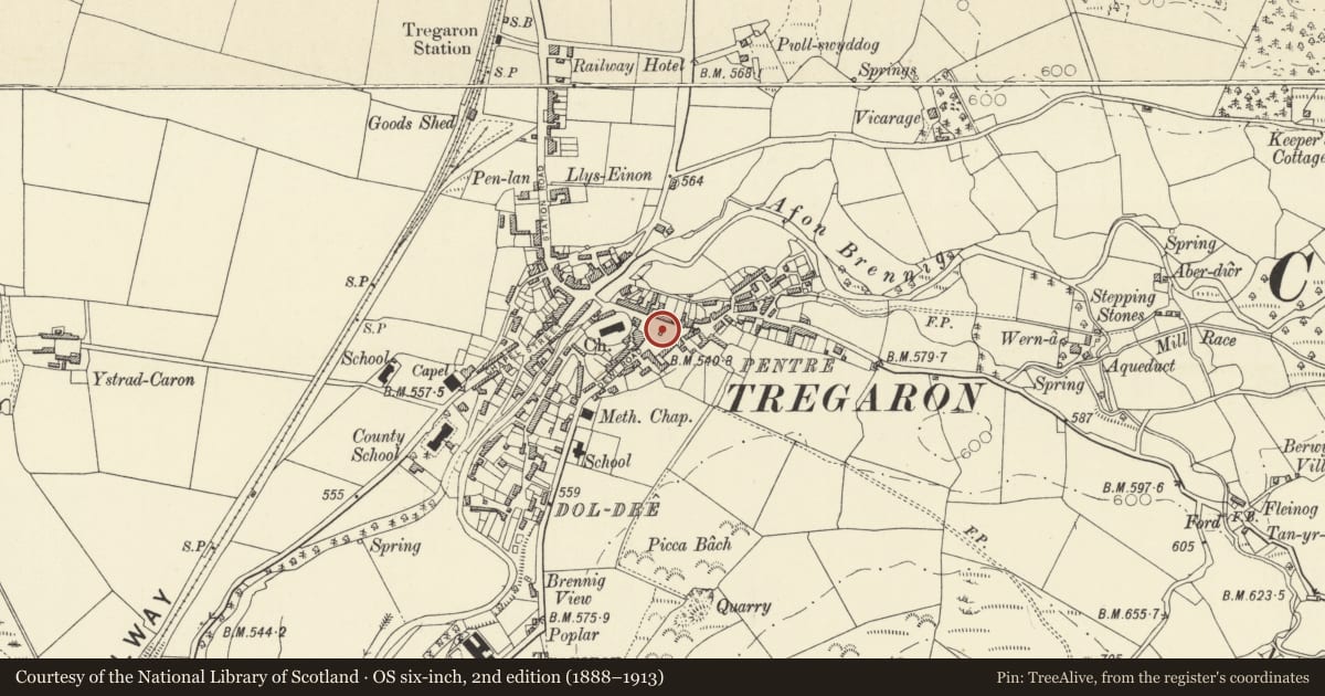 Ordnance Survey six-inch map, 2nd edition (1888–1913) covering the location of Henry Richard Memorial, Tregaron, Ceredigion, with a pin at the register's coordinates