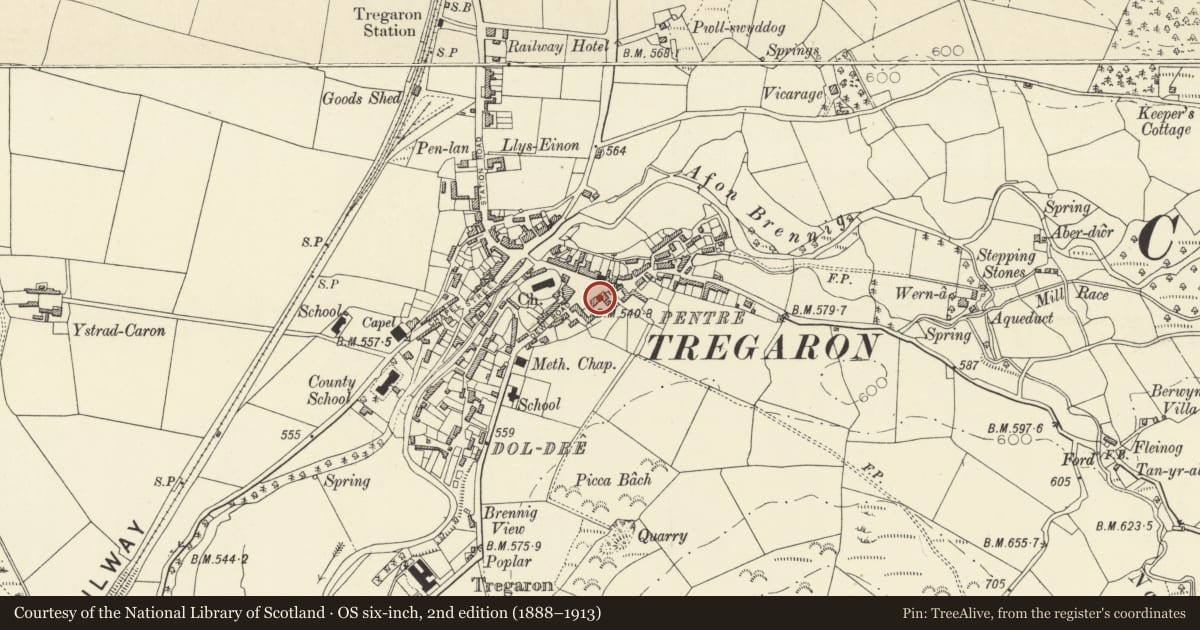 Ordnance Survey six-inch map, 2nd edition (1888–1913) covering the location of The Talbot Hotel, Tregaron, Ceredigion, with a pin at the register's coordinates
