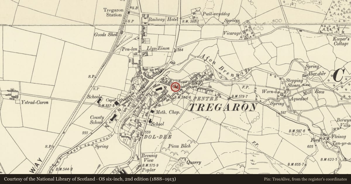 Ordnance Survey six-inch map, 2nd edition (1888–1913) covering the location of Telephone Call Box by the Memorial Hall (01974 298233), Tregaron, Ceredigion, with a pin at the register's coordinates