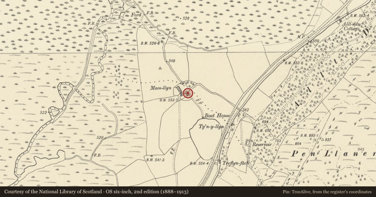 Ordnance Survey six-inch map, 2nd edition (1888–1913) covering the location of Maes-llyn, Tregaron, Ceredigion, with a pin at the register's coordinates