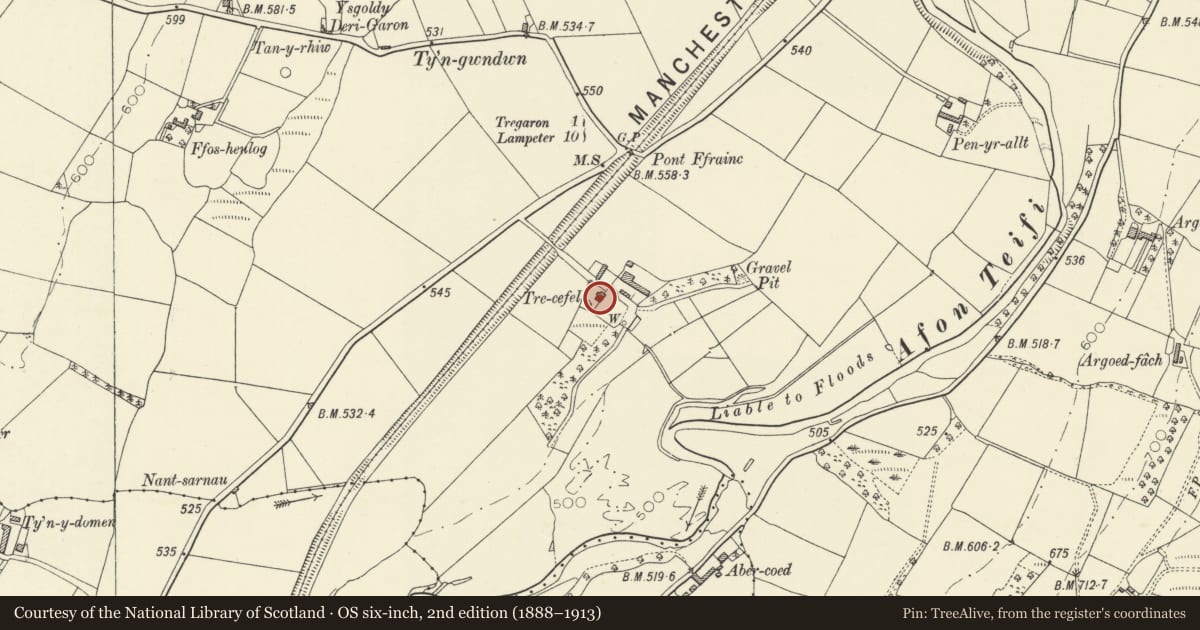 Ordnance Survey six-inch map, 2nd edition (1888–1913) covering the location of Trecefel, Tregaron, Ceredigion, with a pin at the register's coordinates