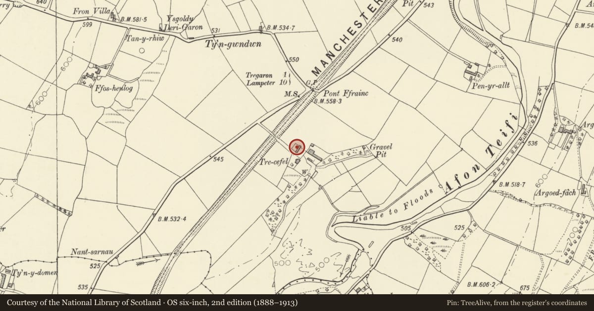 Ordnance Survey six-inch map, 2nd edition (1888–1913) covering the location of Outbuilding to N of Trecefel farmhouse, Tregaron, Ceredigion, with a pin at the register's coordinates