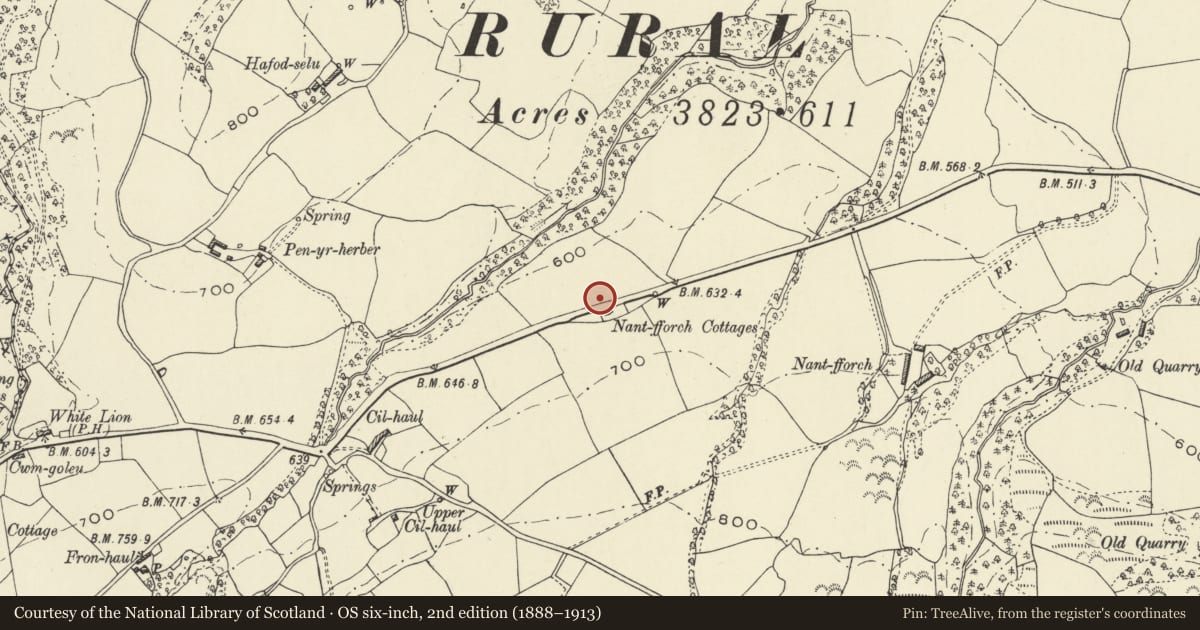 Ordnance Survey six-inch map, 2nd edition (1888–1913) covering the location of Mile marker opposite The Firs, Castle Caereinion, Powys, with a pin at the register's coordinates