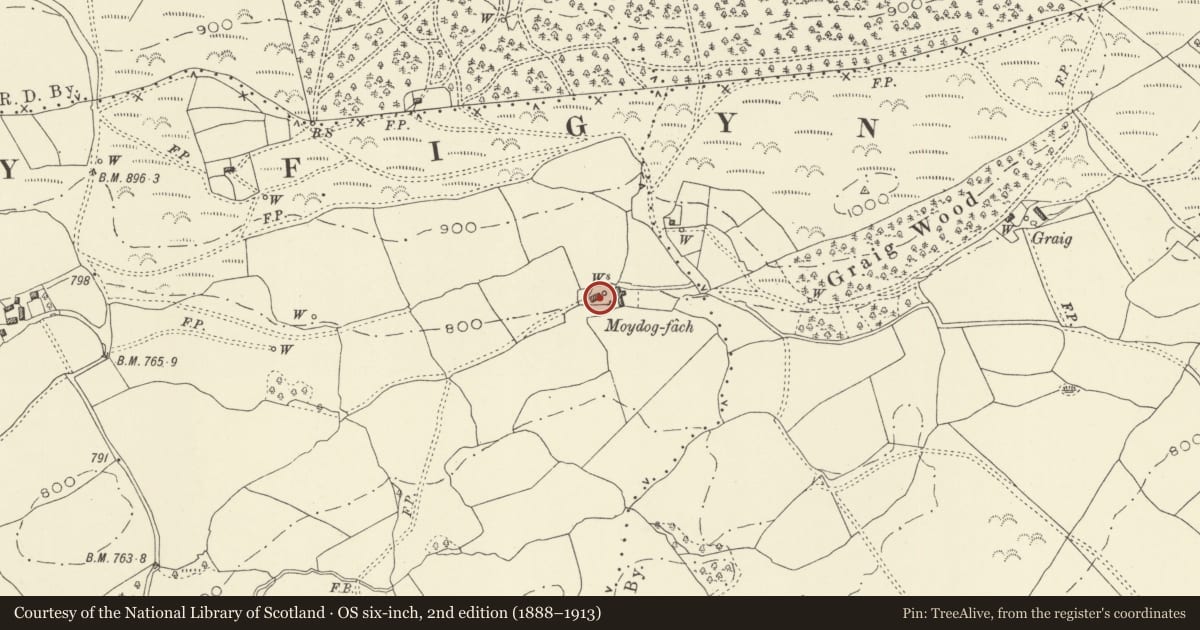 Ordnance Survey six-inch map, 2nd edition (1888–1913) covering the location of Moydog-fach, Castle Caereinion, Powys, with a pin at the register's coordinates