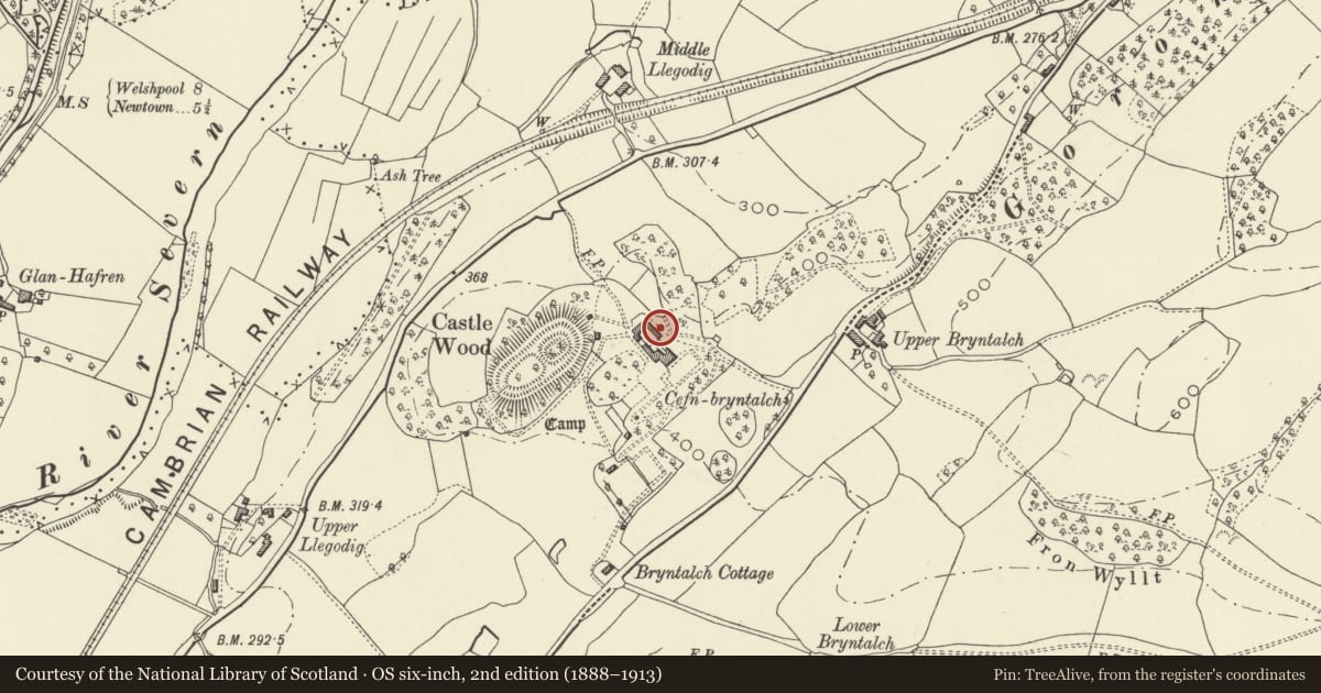 Ordnance Survey six-inch map, 2nd edition (1888–1913) covering the location of The Grooms House, Cefn Bryntalch, Llandyssil, Powys, with a pin at the register's coordinates