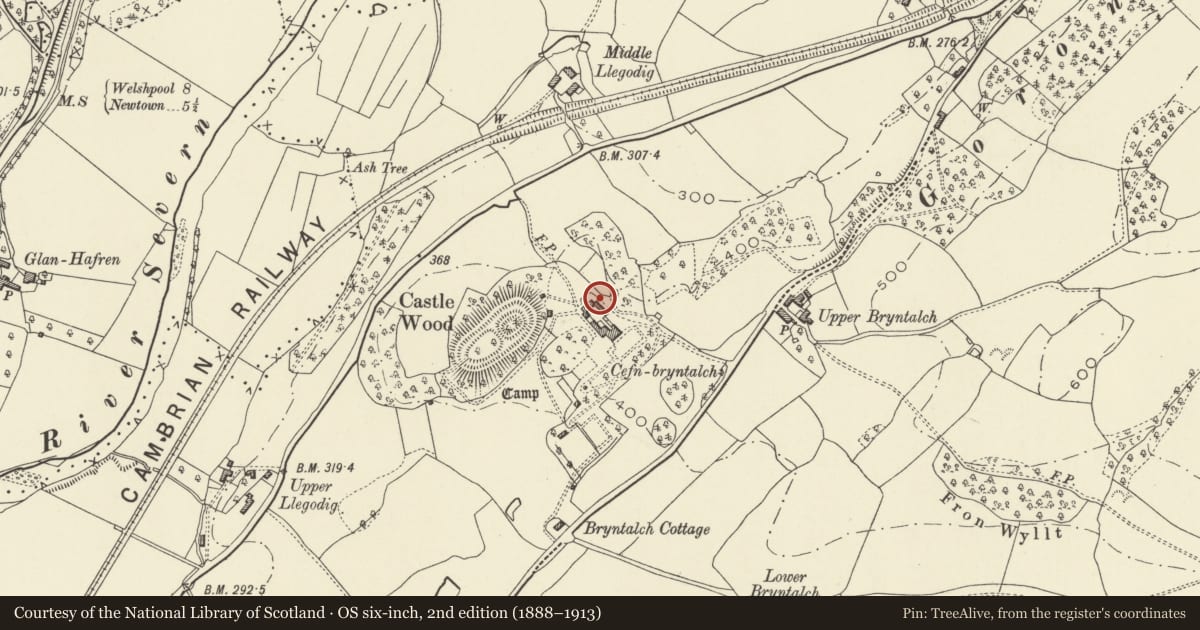 Ordnance Survey six-inch map, 2nd edition (1888–1913) covering the location of Cartshed, Cefn Bryntalch, Llandyssil, Powys, with a pin at the register's coordinates