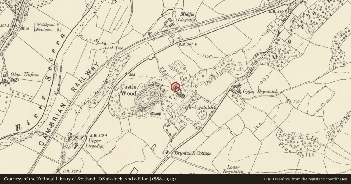 Ordnance Survey six-inch map, 2nd edition (1888–1913) covering the location of North range to Courtyard, Cefn Bryntalch, Llandyssil, Powys, with a pin at the register's coordinates