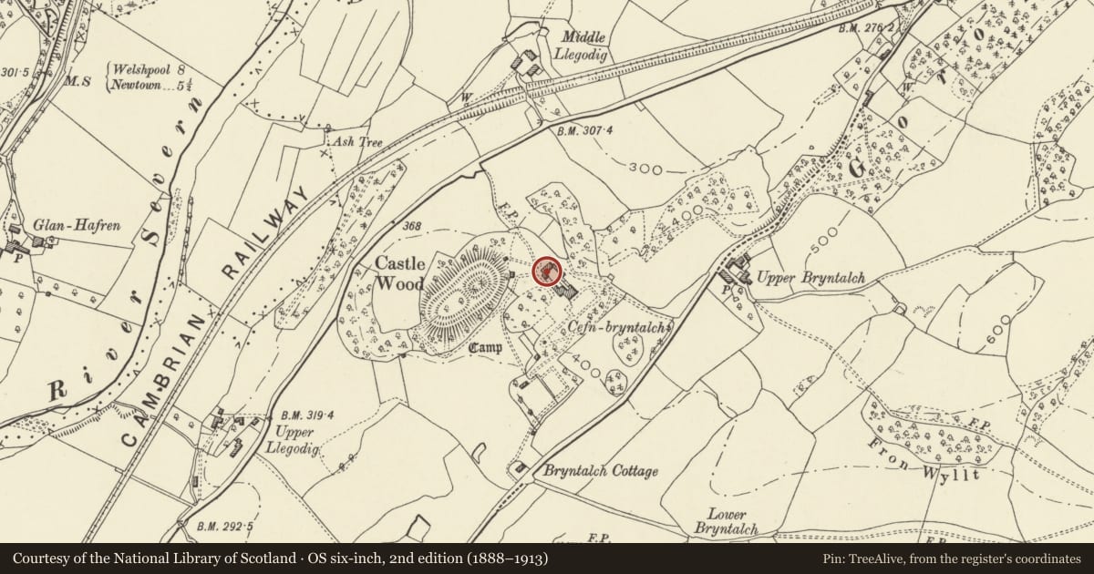 Ordnance Survey six-inch map, 2nd edition (1888–1913) covering the location of Coach-house and stables, Cefn Bryntalch, Llandyssil, Powys, with a pin at the register's coordinates