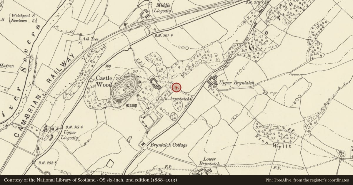 Ordnance Survey six-inch map, 2nd edition (1888–1913) covering the location of Garden Wall and Gateway, Cefn Bryntalch, Llandyssil, Powys, with a pin at the register's coordinates