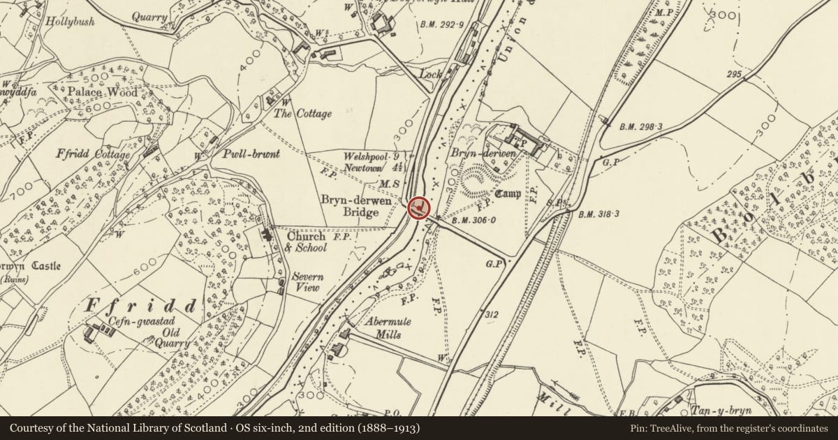 Ordnance Survey six-inch map, 2nd edition (1888–1913) covering the location of Brynderwen Bridge and Bridge 147 over the Montgomeryshire Canal, Llandyssil, Powys, with a pin at the register's coordinates