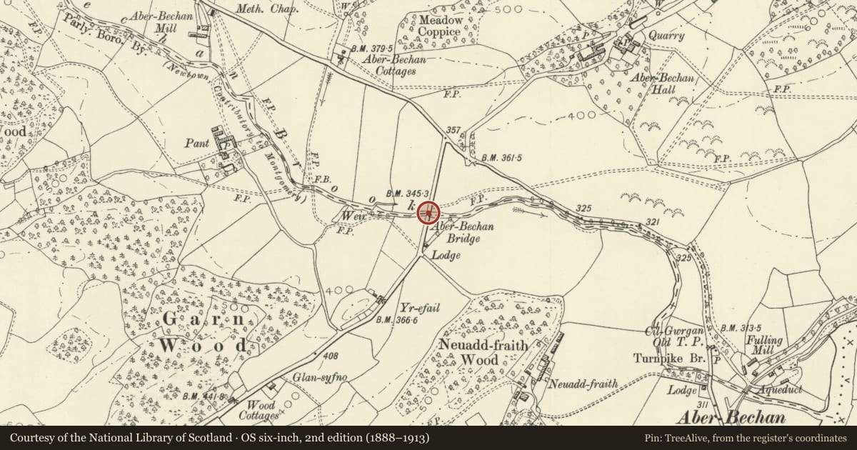 Ordnance Survey six-inch map, 2nd edition (1888–1913) covering the location of Aberbechan Bridge (partly in Newtown & Llanllwchaiarn community), Llandyssil, Powys, with a pin at the register's coordinates