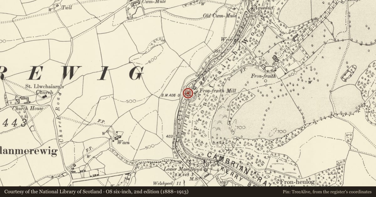 Ordnance Survey six-inch map, 2nd edition (1888–1913) covering the location of Bridge at Fronfraith Mill, Llandyssil, Powys, with a pin at the register's coordinates