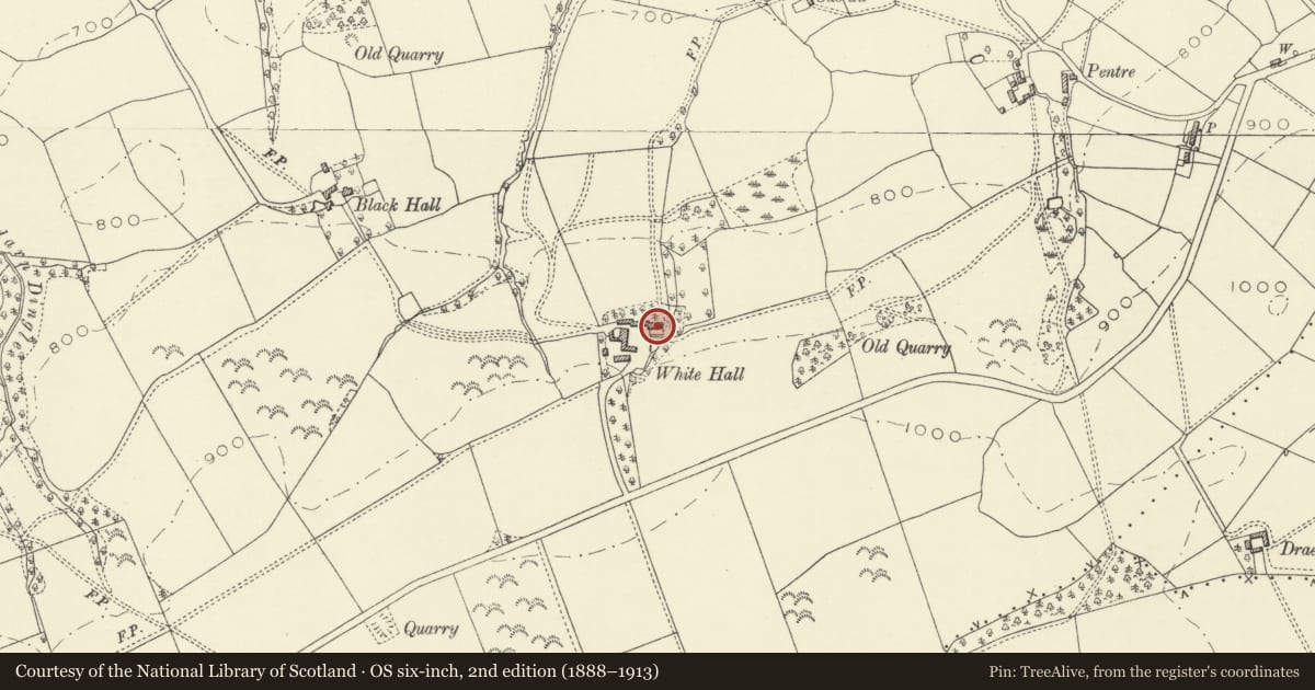 Ordnance Survey six-inch map, 2nd edition (1888–1913) covering the location of White Hall Farmhouse, Llandyssil, Powys, with a pin at the register's coordinates