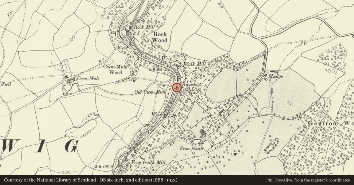 Ordnance Survey six-inch map, 2nd edition (1888–1913) covering the location of Bridge at Cwm-mule, Llandyssil, Powys, with a pin at the register's coordinates