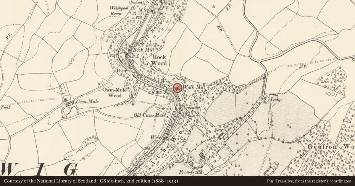 Ordnance Survey six-inch map, 2nd edition (1888–1913) covering the location of Cwm-mule Mill, Llandyssil, Powys, with a pin at the register's coordinates