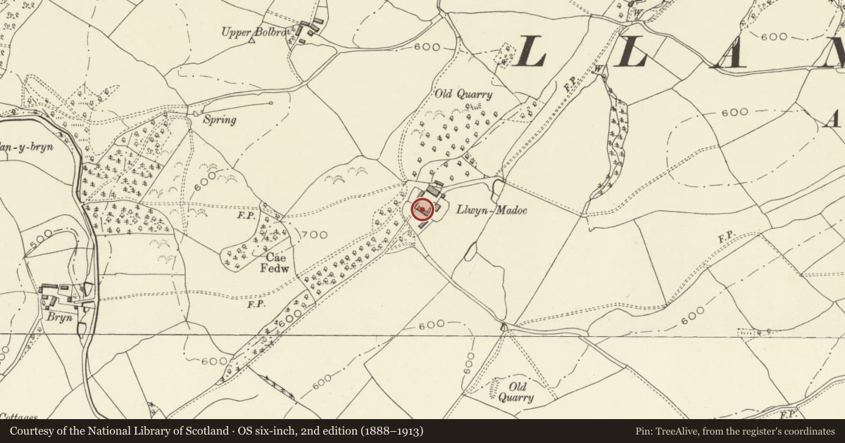 Ordnance Survey six-inch map, 2nd edition (1888–1913) covering the location of West barn at Llwynmadoc, Llandyssil, Powys, with a pin at the register's coordinates