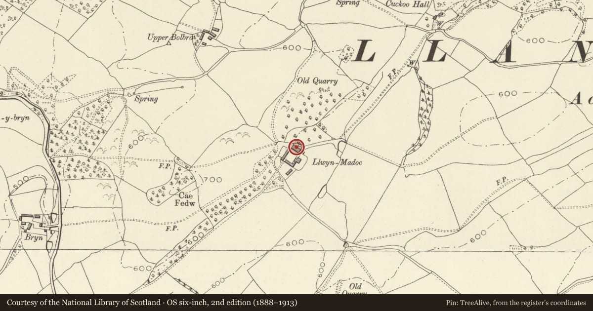 Ordnance Survey six-inch map, 2nd edition (1888–1913) covering the location of East Barn at Llwynmadoc, Llandyssil, Powys, with a pin at the register's coordinates